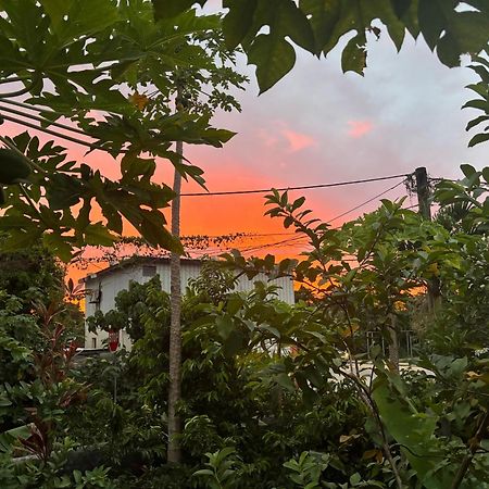 Dayspring Lodge Nuku'alofa Exteriör bild