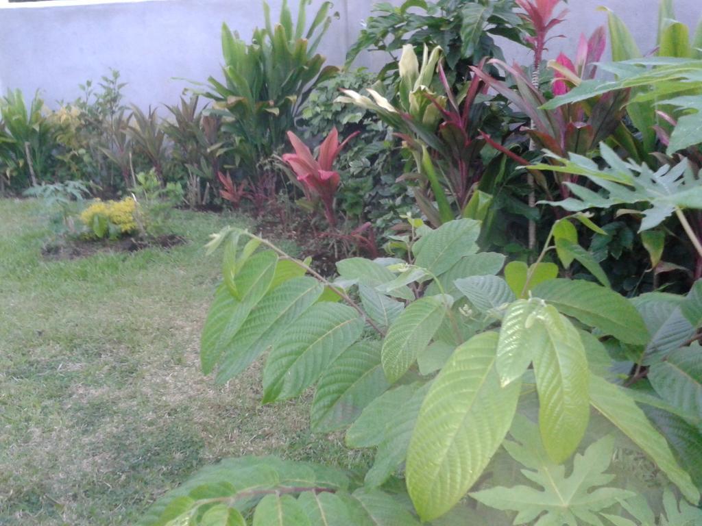 Dayspring Lodge Nuku'alofa Exteriör bild