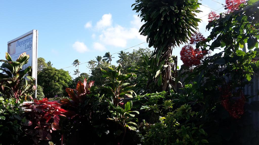 Dayspring Lodge Nuku'alofa Exteriör bild