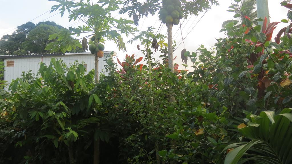 Dayspring Lodge Nuku'alofa Exteriör bild