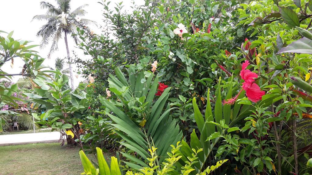 Dayspring Lodge Nuku'alofa Exteriör bild