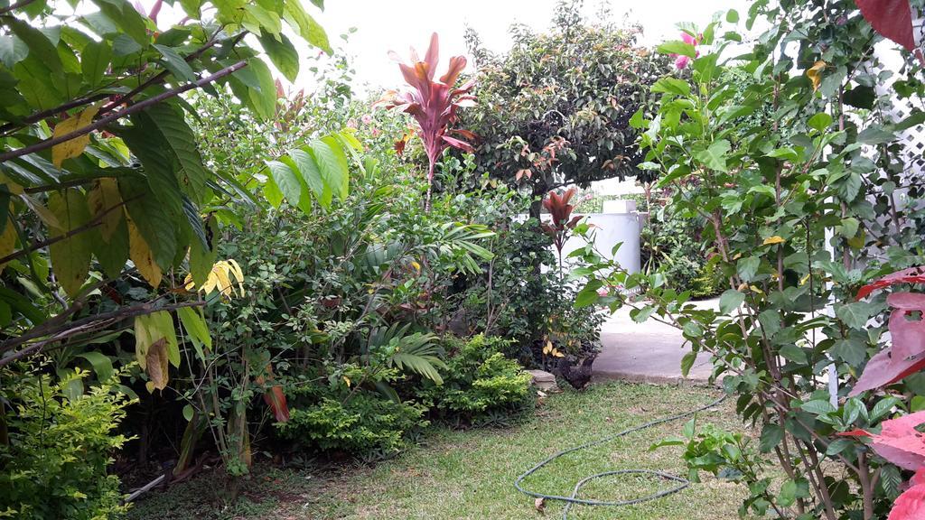 Dayspring Lodge Nuku'alofa Exteriör bild